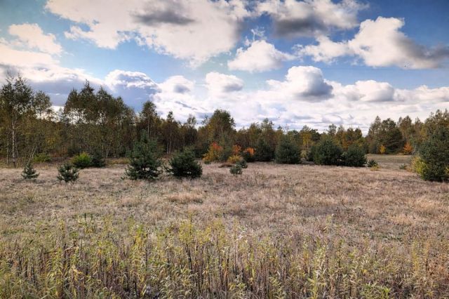 dom wolnostojący Tomczyn. Zdjęcie 1