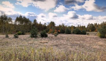 dom wolnostojący Tomczyn