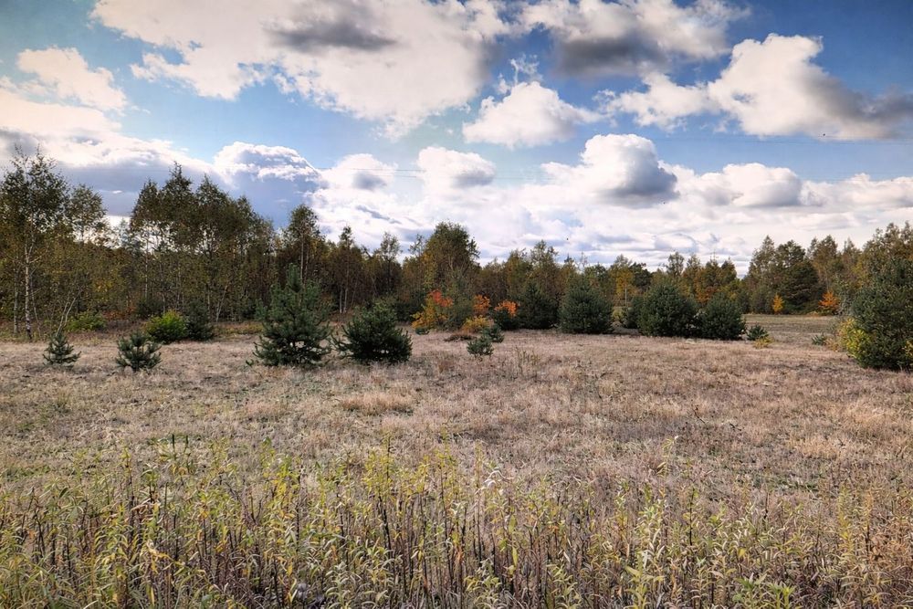 dom wolnostojący Tomczyn