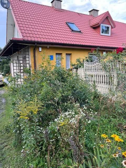 bliźniak Kutno. Zdjęcie 4