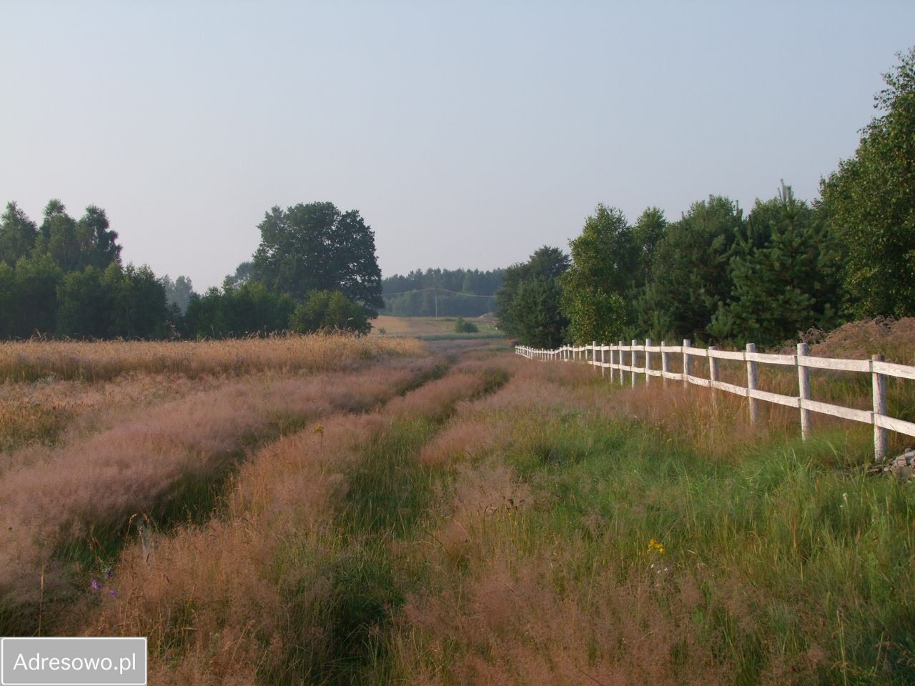 Działka siedliskowa Marianka. Zdjęcie 13