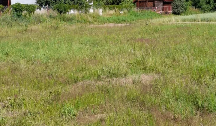 Działka budowlana Rynki