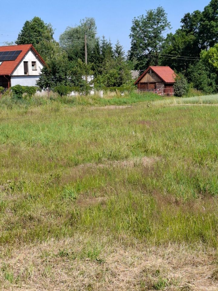 Działka budowlana Rynki. Zdjęcie 1