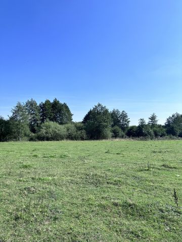 Działka rolna Debrzno. Zdjęcie 1