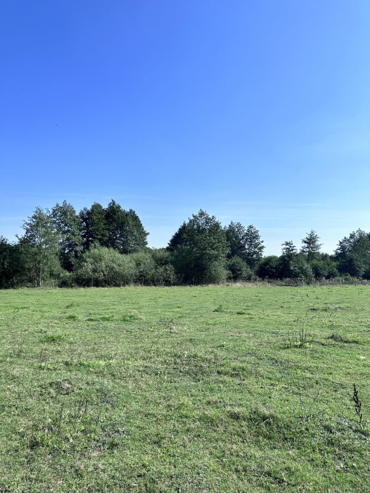 Działka rolna Debrzno