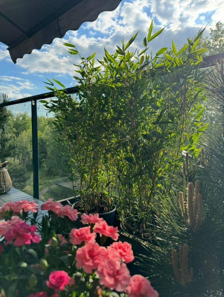 Mieszkanie 3-pokojowe Łódź Nowe Złotno, ul. Rąbieńska