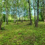 Działka budowlana Tyczyn. Zdjęcie 1