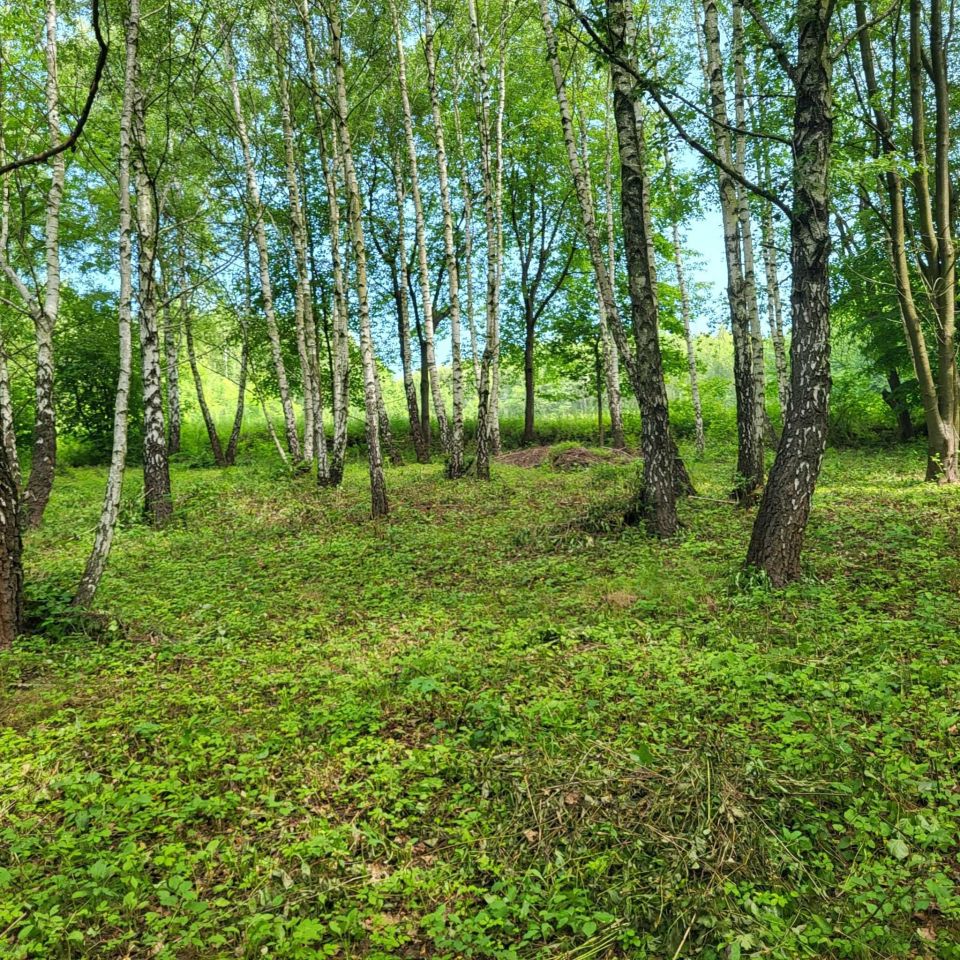 Działka budowlana Tyczyn. Zdjęcie 2