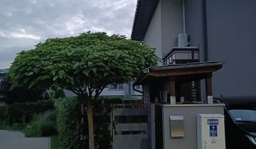 dom szeregowy, 3 pokoje Józefosław, Przylaszczki