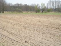 Działka budowlana Makowiska. Zdjęcie 4