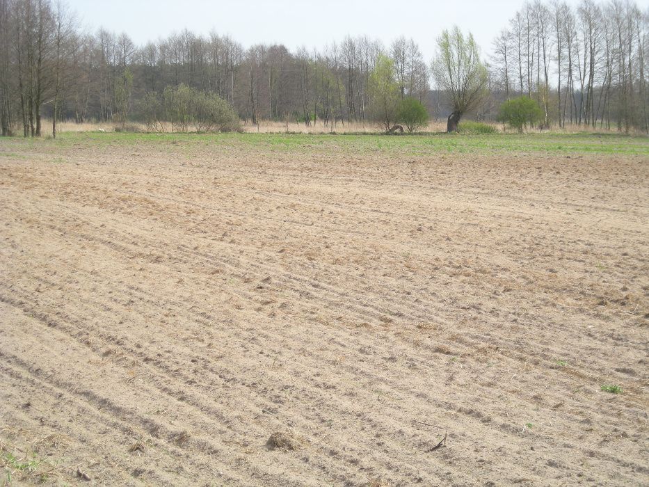 Działka budowlana Makowiska. Zdjęcie 5