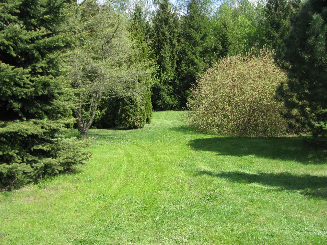 Hala/magazyn Płocochowo. Zdjęcie 9