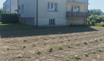 gospodarstwo Bełżyce