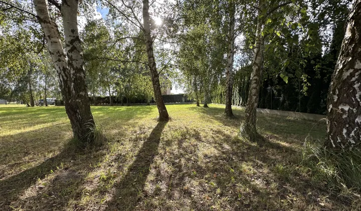 Działka budowlana Wrzosowo