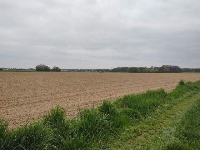 Działka siedliskowa Pruchna. Zdjęcie 4