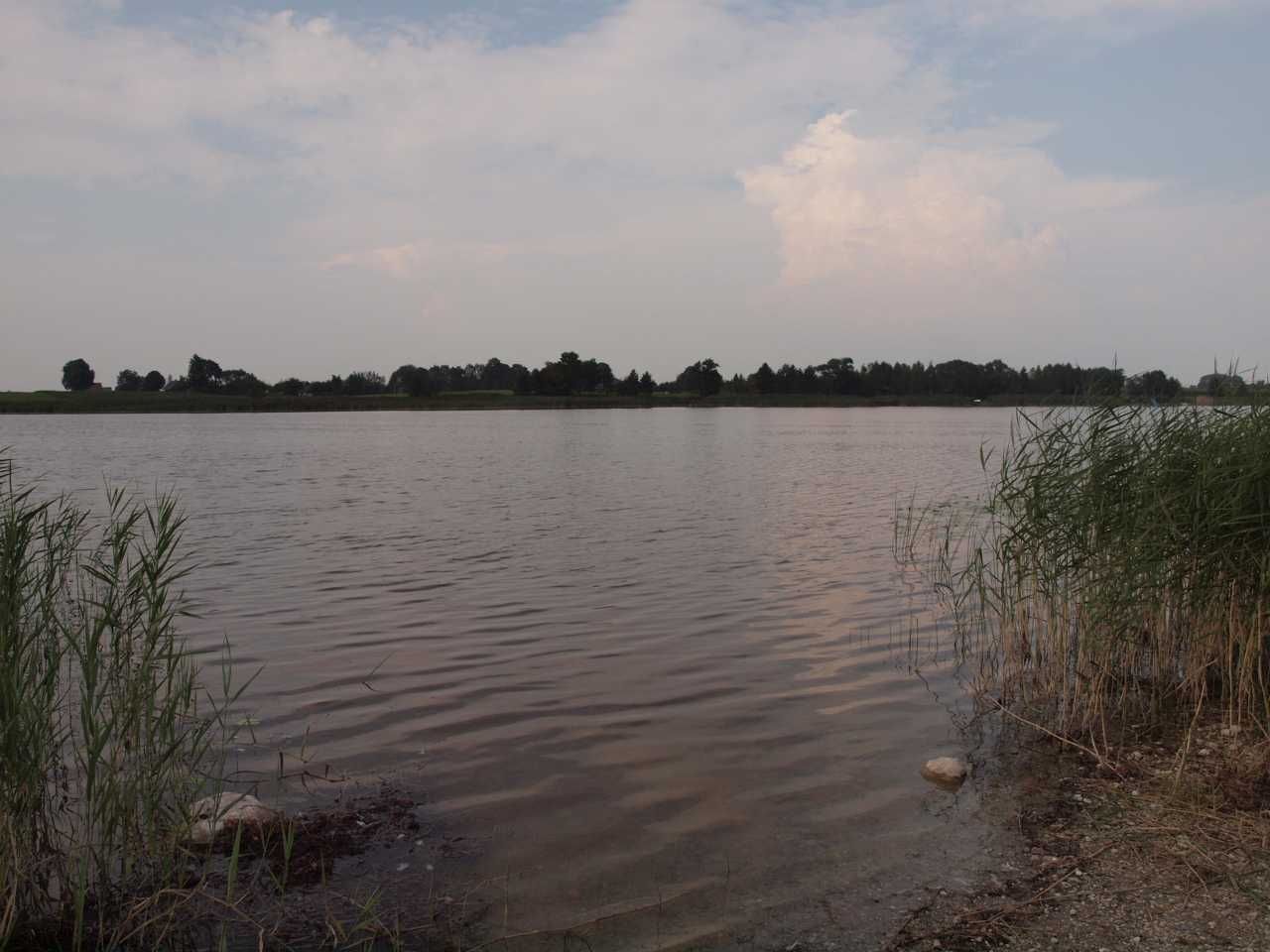 Działka rekreacyjna Tajno Podjeziorne. Zdjęcie 6