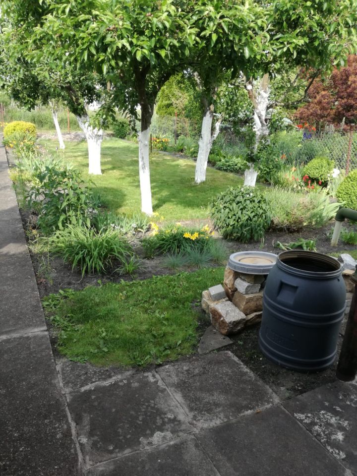 Działka rod Szczecin Wielgowo, ul. Tatarakowa. Zdjęcie 6