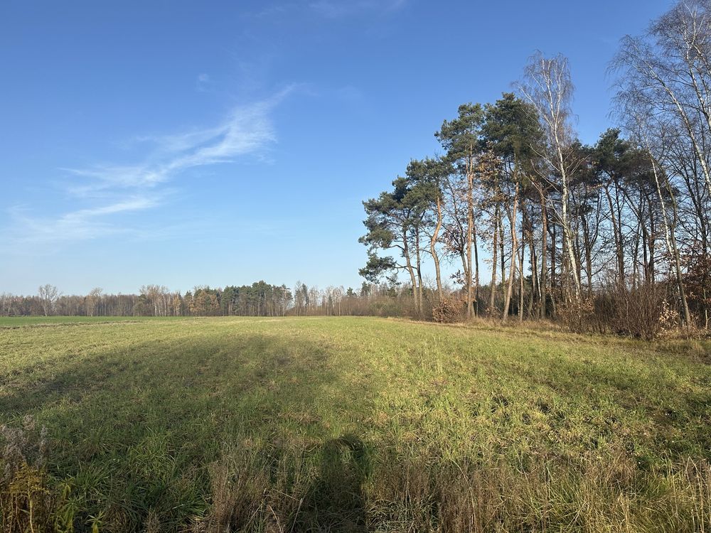 Działka rolno-budowlana Rzymiec. Zdjęcie 2