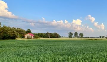 dom wolnostojący, 3 pokoje Lubiejki