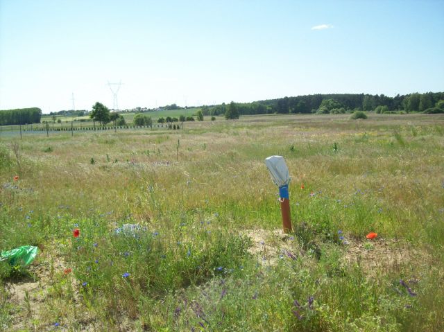 Działka budowlana Pawłowice, ul. Pawłowicka. Zdjęcie 1