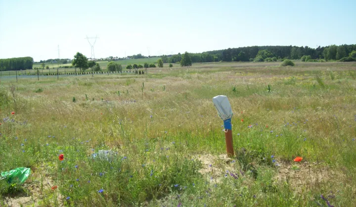 Działka budowlana Pawłowice, ul. Pawłowicka