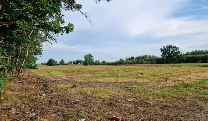 Działka rolno-budowlana Martynów