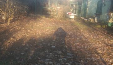 Działka rekreacyjna Wrocław Ołbin, ul. Bolesława Prusa