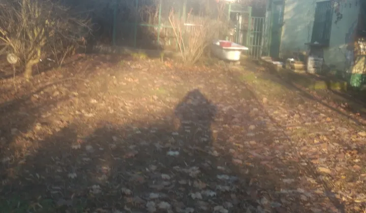 Działka rekreacyjna Wrocław Ołbin, ul. Bolesława Prusa