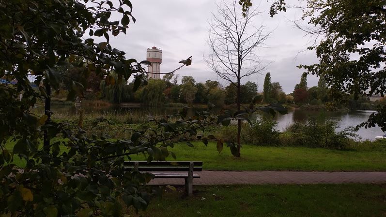 dom wolnostojący, 3 pokoje Kruszwica, ul. Tadeusza Kościuszki. Zdjęcie 4