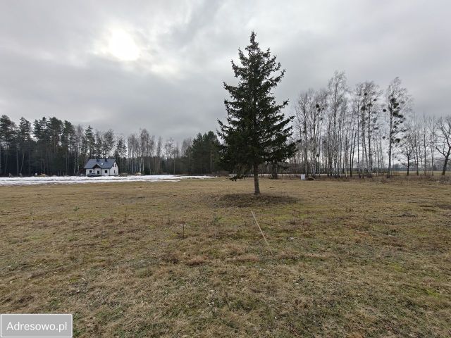 Działka rolno-budowlana Borki Rozowskie. Zdjęcie 1