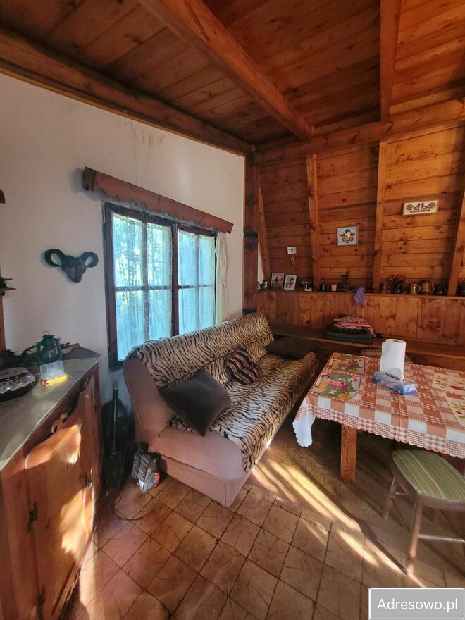 Działka rod Poznań Stare Miasto, ul. Wrzesińska. Zdjęcie 5