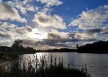 Działka rolna Juchowo. Zdjęcie 1