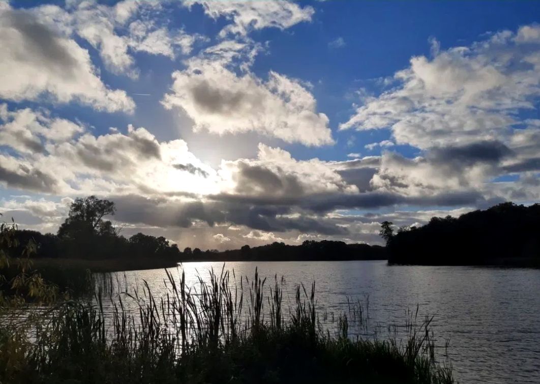 Działka rolna Juchowo. Zdjęcie 2