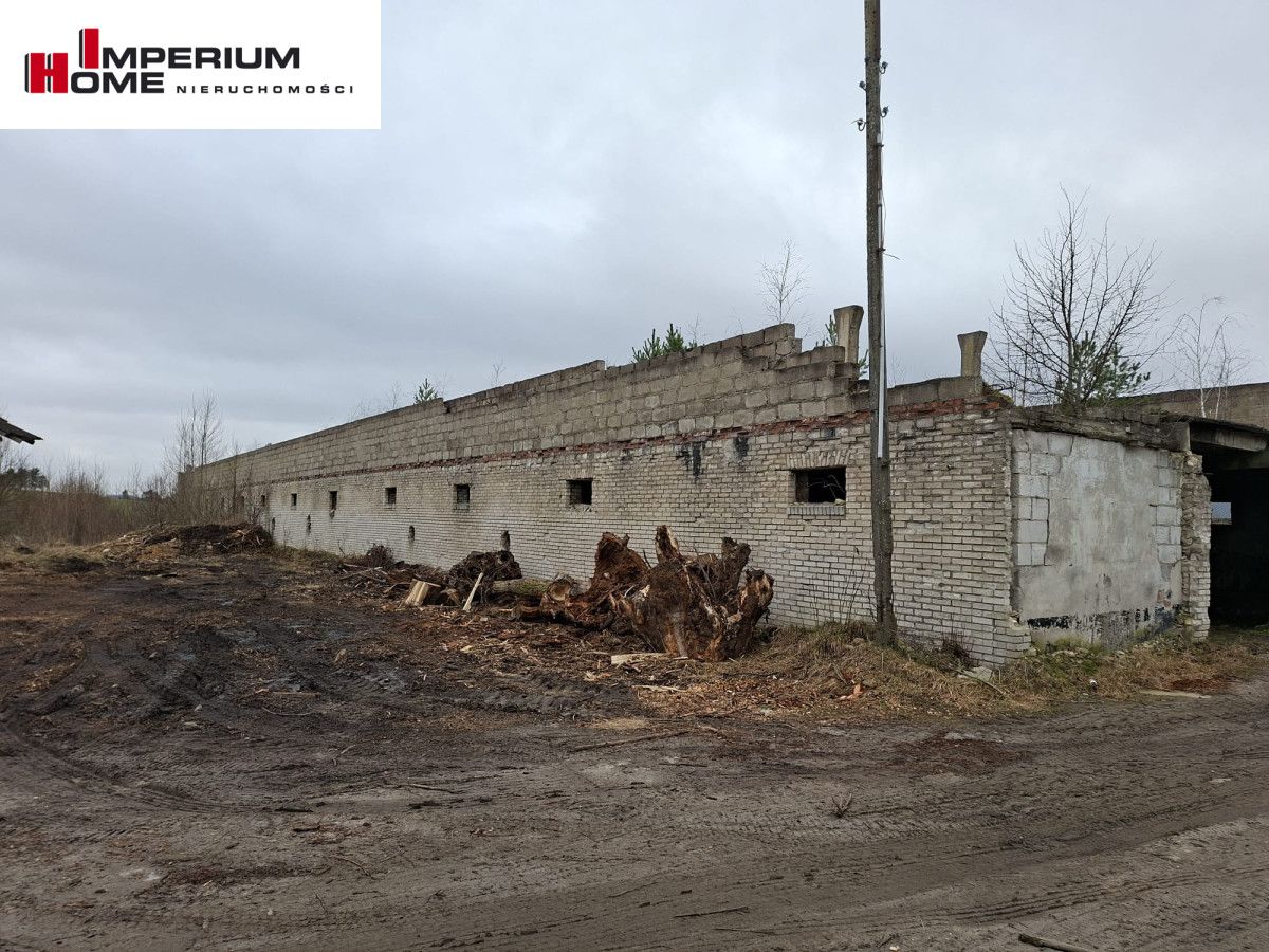 Działka inwestycyjna Chmielno, ul. Jesionowa. Zdjęcie 2