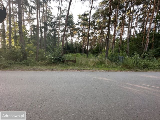 Działka budowlana Zalesie Górne, ul. Przebudzenia Wiosny. Zdjęcie 1