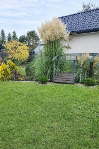 dom wolnostojący, 4 pokoje Kliniska Wielkie. Zdjęcie 14