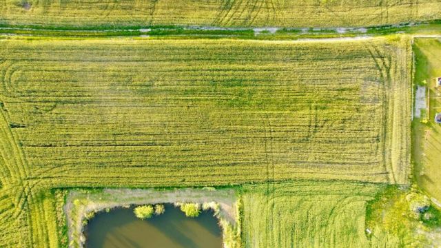 Działka budowlana Nowa Wieś. Zdjęcie 10