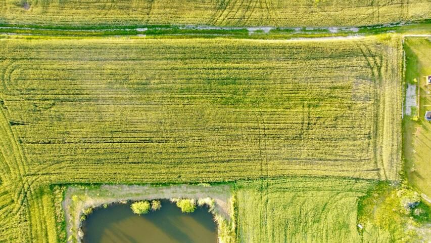 Działka budowlana Nowa Wieś. Zdjęcie 10