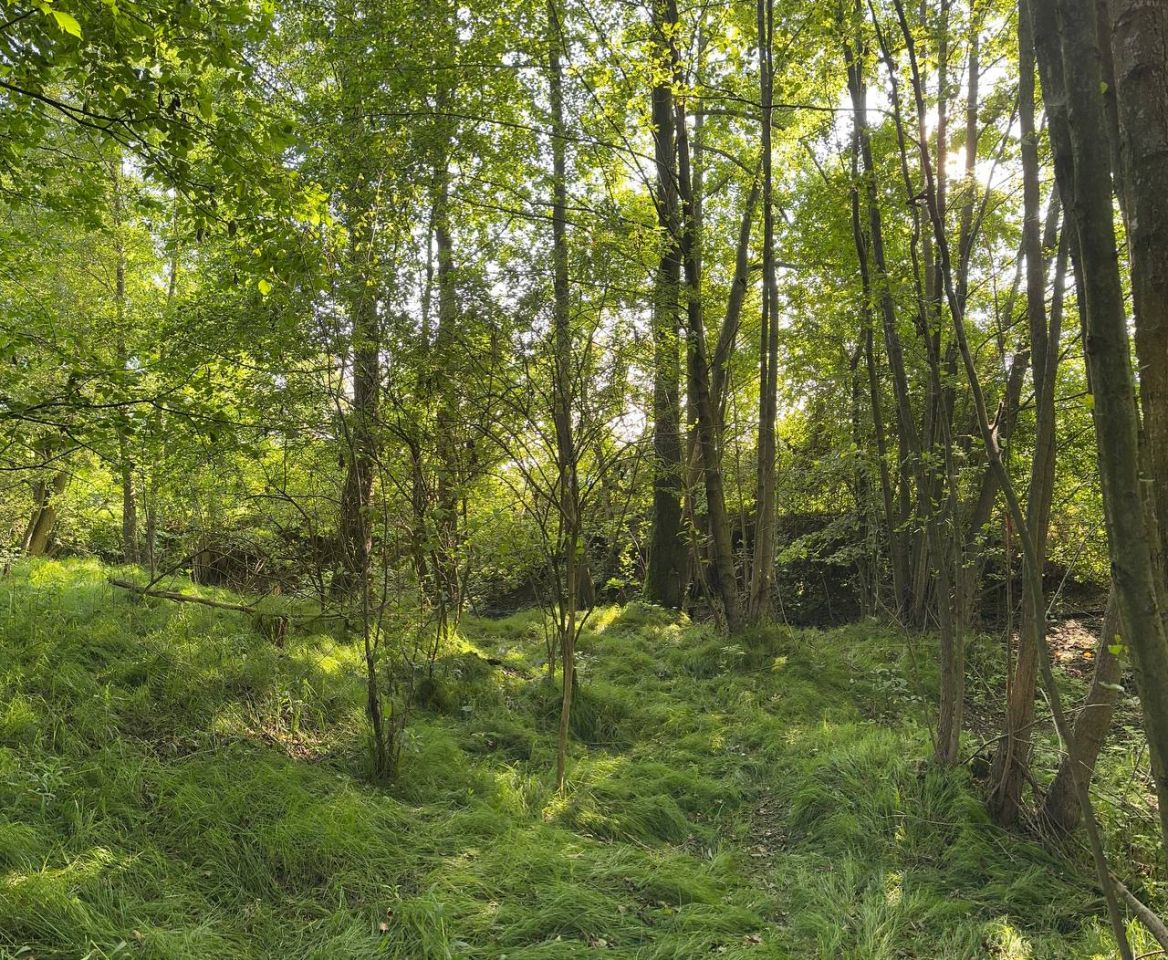 Działka rolna Rudawica. Zdjęcie 7