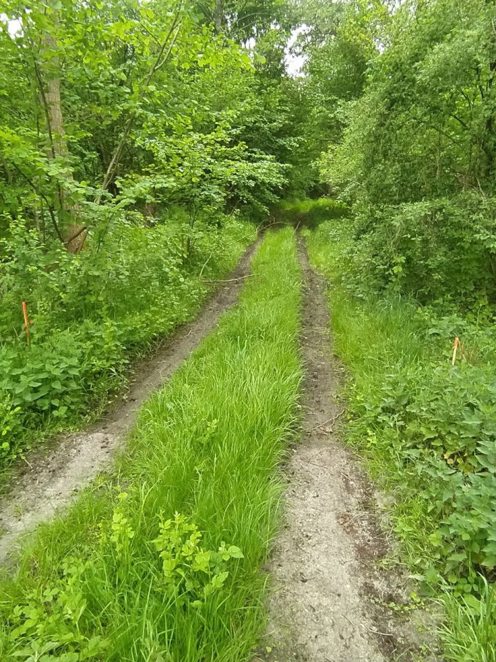 Działka budowlana Gronów. Zdjęcie 2