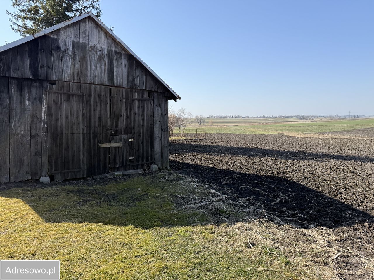 Działka siedliskowa Mojsławice. Zdjęcie 6