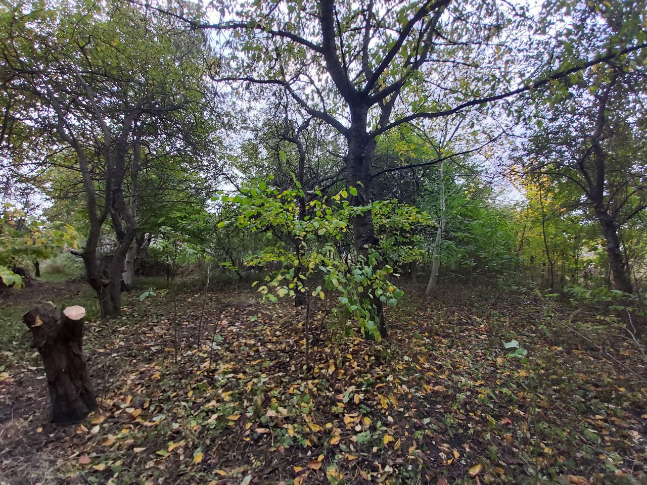 Działka budowlana Wrocław Jagodno, ul. Sarnia. Zdjęcie 6