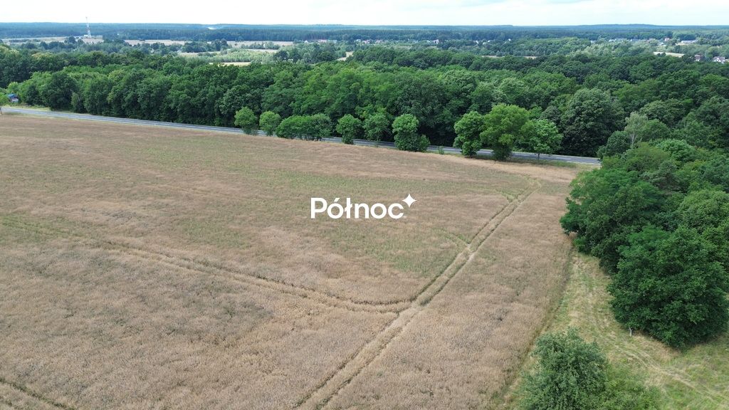 Działka inwestycyjna Dąbrowa Bolesławiecka. Zdjęcie 5