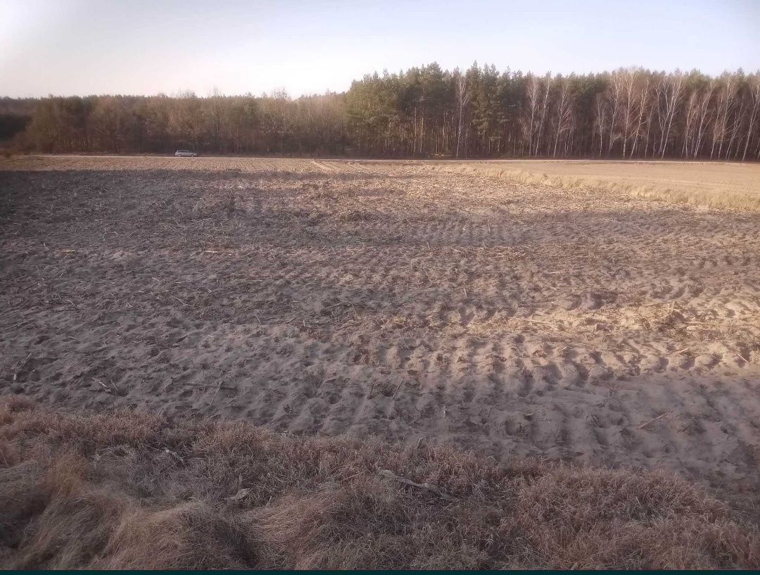 Działka budowlana Białkowo. Zdjęcie 3