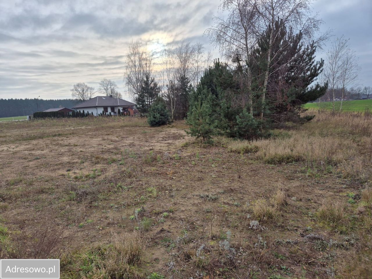Działka budowlana Orliczko. Zdjęcie 8