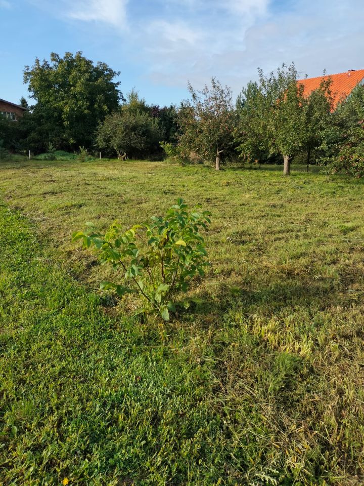 Działka Witaszyce, ul. Żużlowa