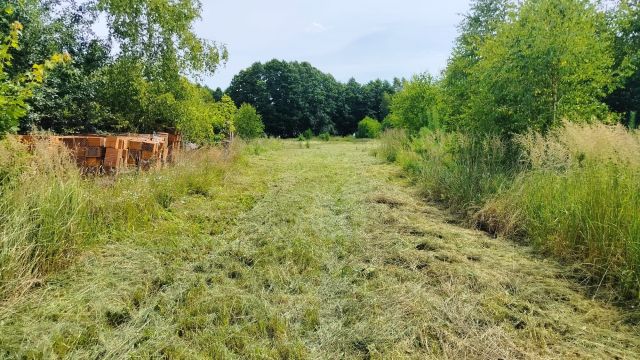 Działka rolno-budowlana Zalesie Królewskie. Zdjęcie 1
