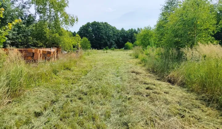 Działka rolno-budowlana Zalesie Królewskie