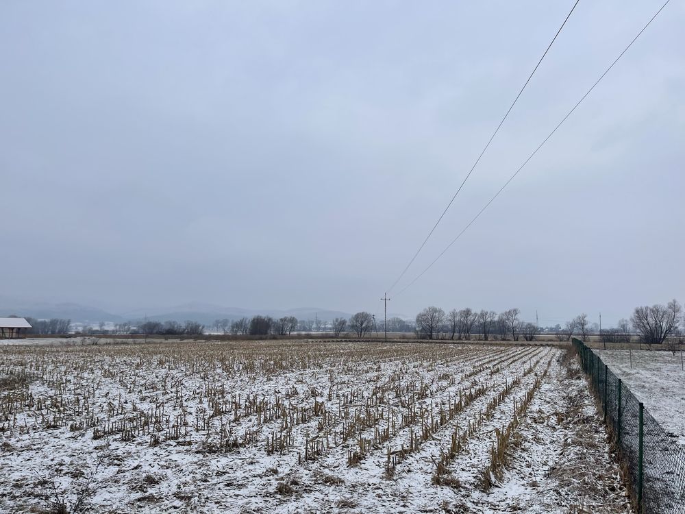 siedlisko Piskorzów. Zdjęcie 6