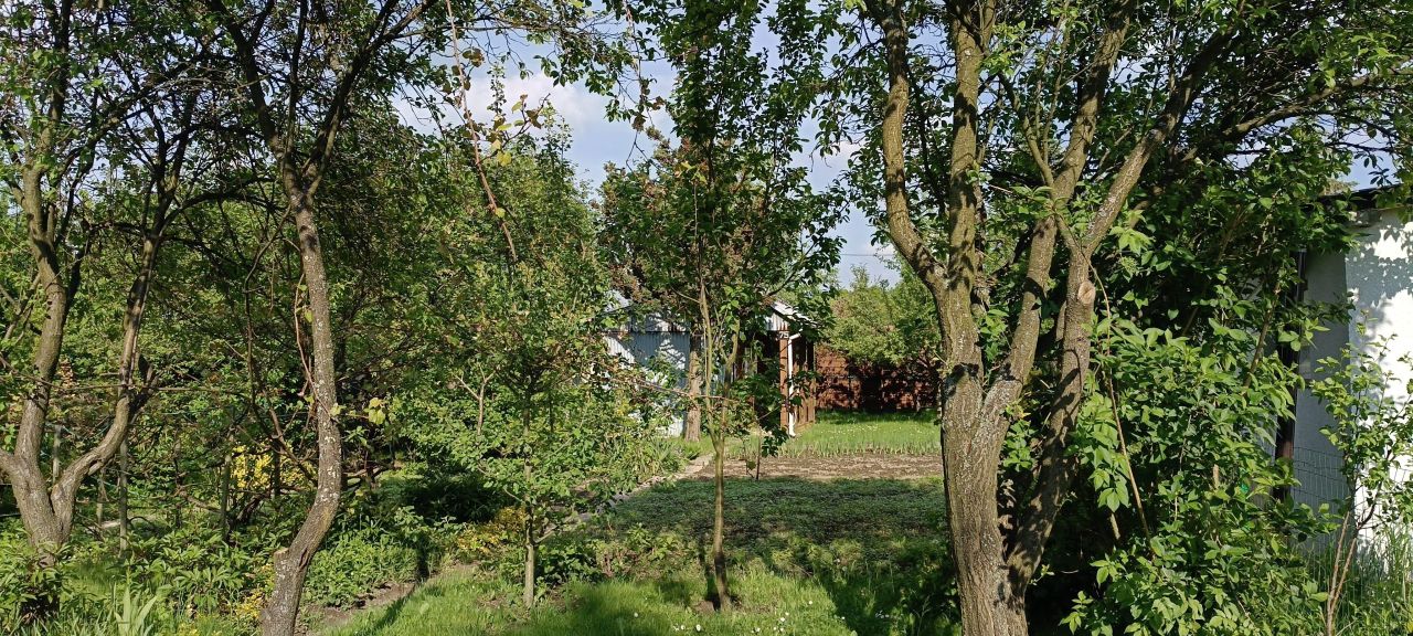 Działka rod Brzesko, ul. Leśna. Zdjęcie 6